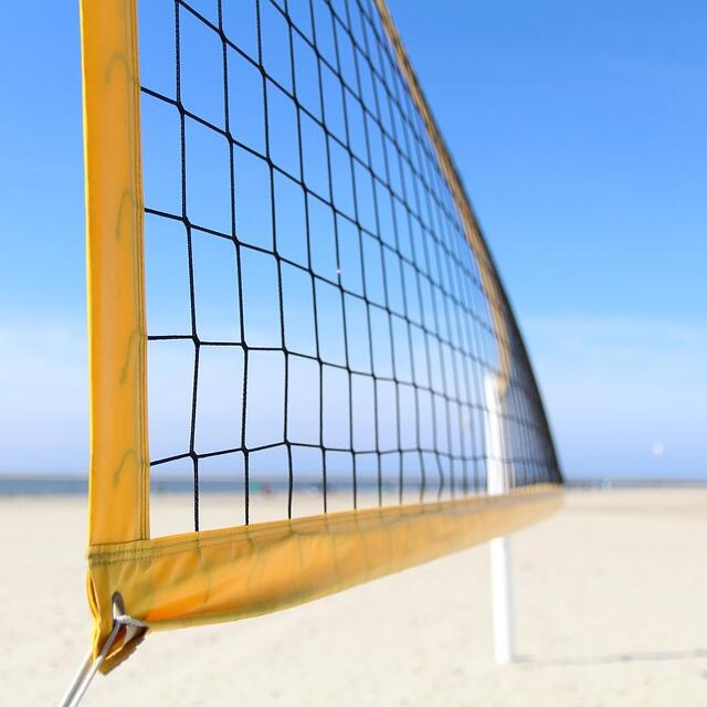 Multi-Purpose Knotted Sports N – Badminton Area recenzja i cena